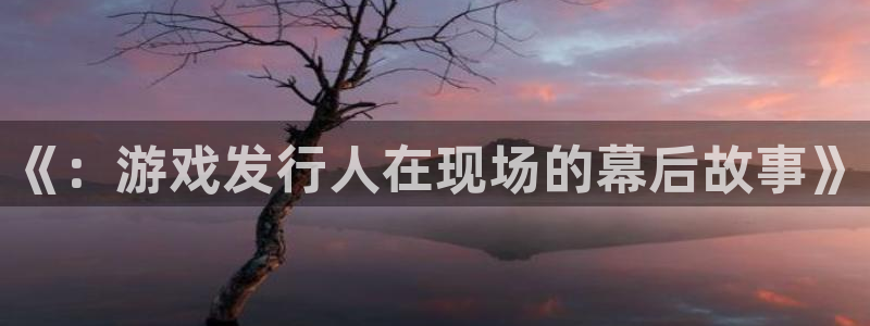 完美电竞登录注册账号失败：《：游戏发行人在现场的幕后故事》