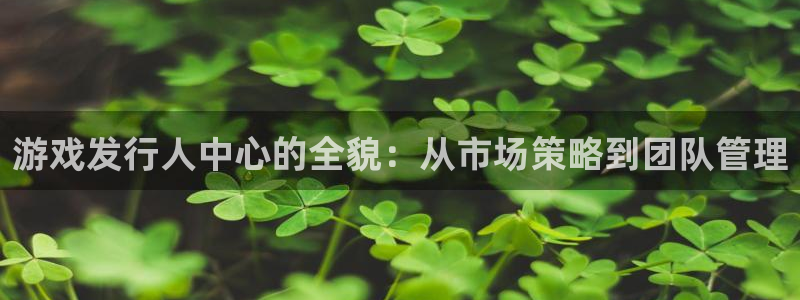 完美电竞注册平台登录入口:游戏发行人中心的全貌:从市场策略到团队管理