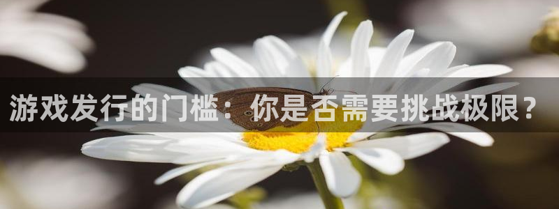 完美电竞代理开号多少钱：游戏发行的门槛：你是否需要挑战极限？