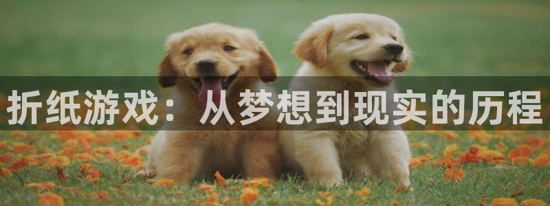 顺德完美电竞官网电商