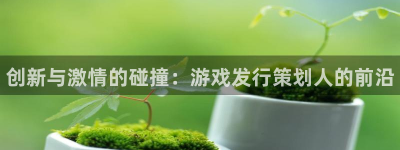 重庆完美电竞官网子文化传播有限公司