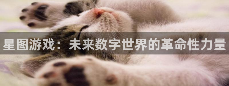 完美电竞官网注册账号是什么