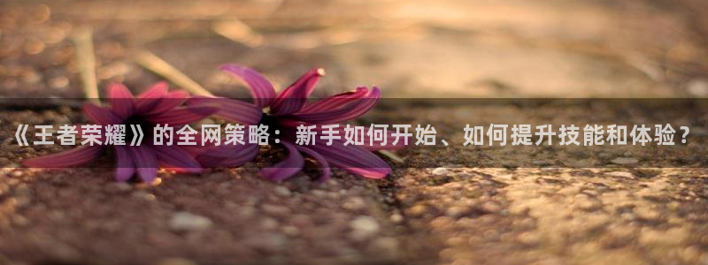 完美电竞官网电子科技