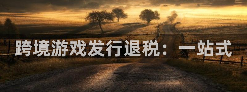 完美电竞注册地址在哪里：跨境游戏发行退税：一站式