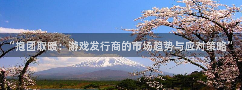 完美电竞平台代理条件是什么