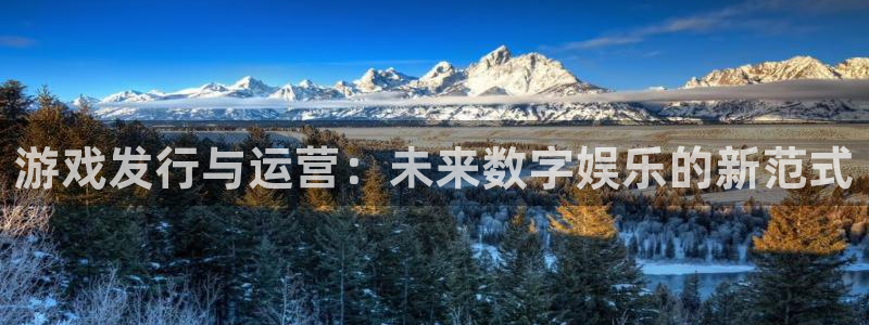 广州完美电竞官网网络科技有限公司