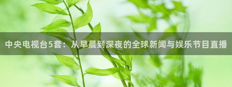 足球柠檬免费直播：中央电视台5套：从早晨到深夜的全球新闻与娱乐节目直播