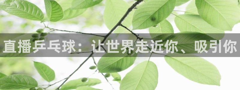柠檬直播间：直播乒乓球：让世界走近你、吸引你