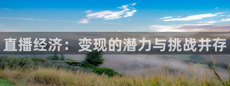 柠檬足球赛事直播：直播经济：变现的潜力与挑战并存