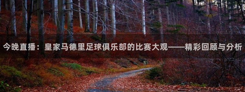 柠檬nba篮球直播