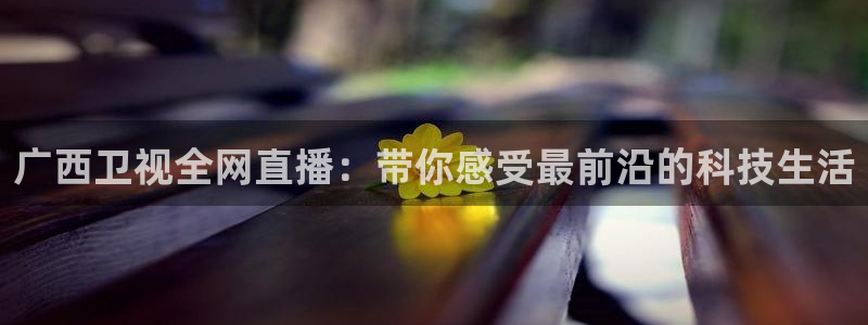 柠檬nba篮球直播