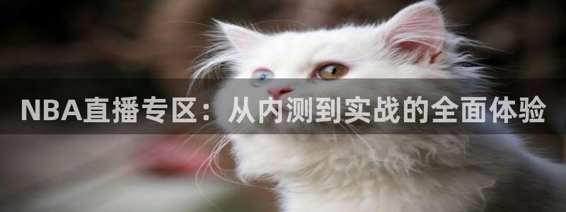 柠檬足球赛事直播