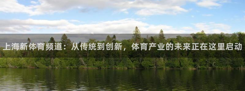 柠檬直播体育官网